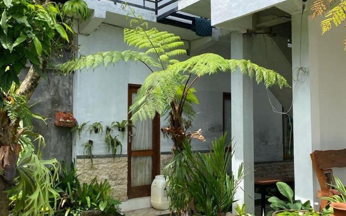 Budha House Ubud
