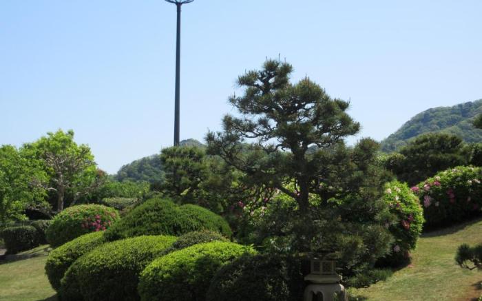 Kinosaki Onsen ASAGIRISO