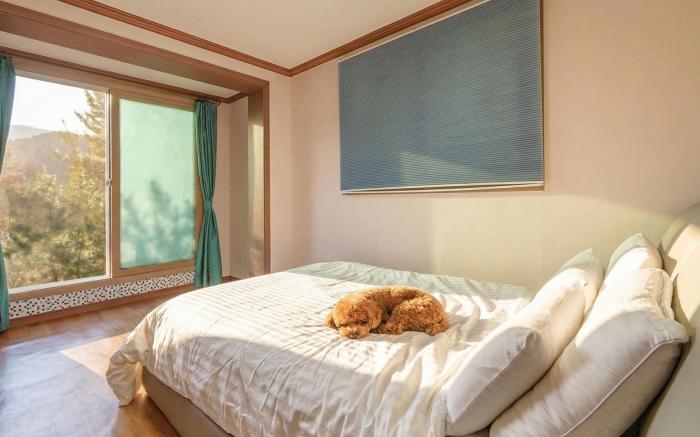 Gyeongju ClearMorning PetFriendlyPension