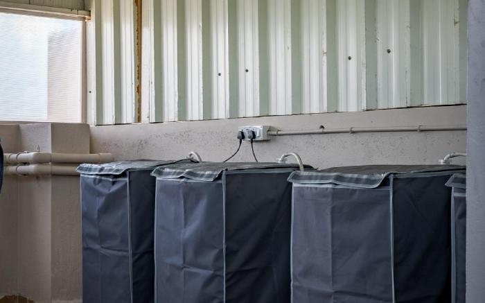 Living Homes Electra - HSR Layout, Sector 5