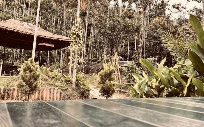 cave valley wayanad 