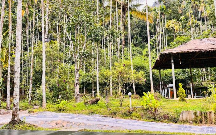 cave valley wayanad 