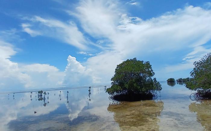 KERUSSO HAVEN