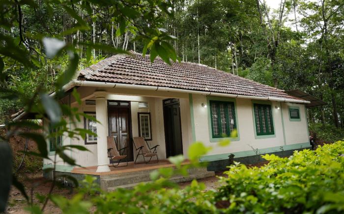 Coffee camp home stay with tree house 