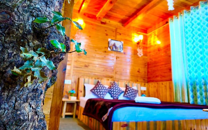 woodland treehouse jibhi