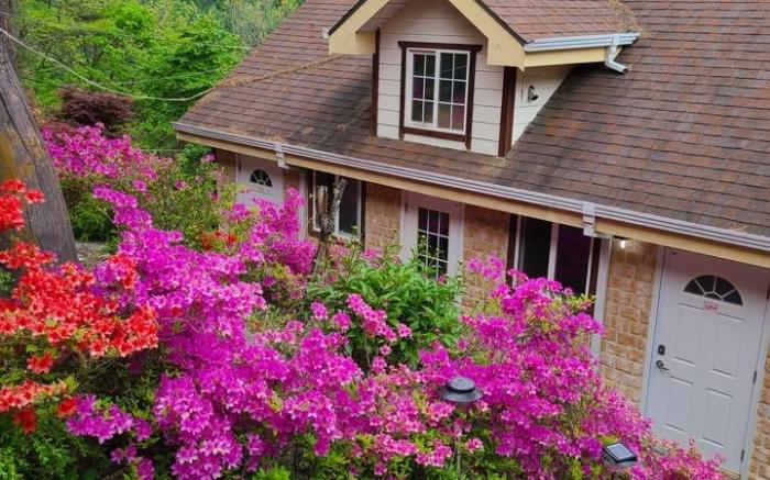 Wonju Sarichi Land in Forest Pension