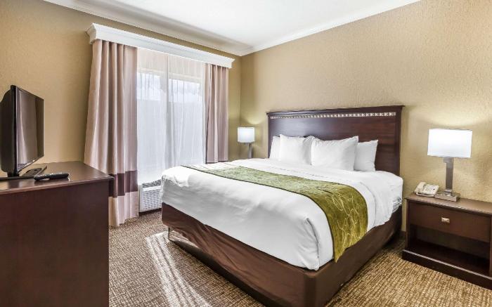Comfort Suites Houston IAH Airport - Beltway 8