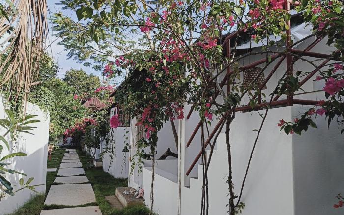 La Bonita Villa 拉博尼塔丛林里的花园别墅