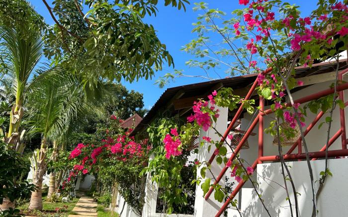 La Bonita Villa 拉博尼塔丛林里的花园别墅