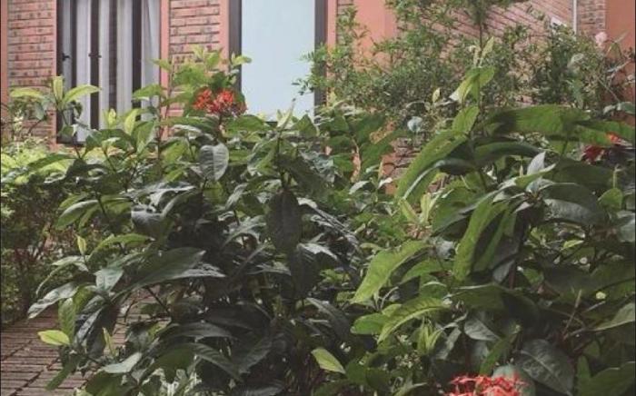 Nam Nhung Tam Coc Homestay