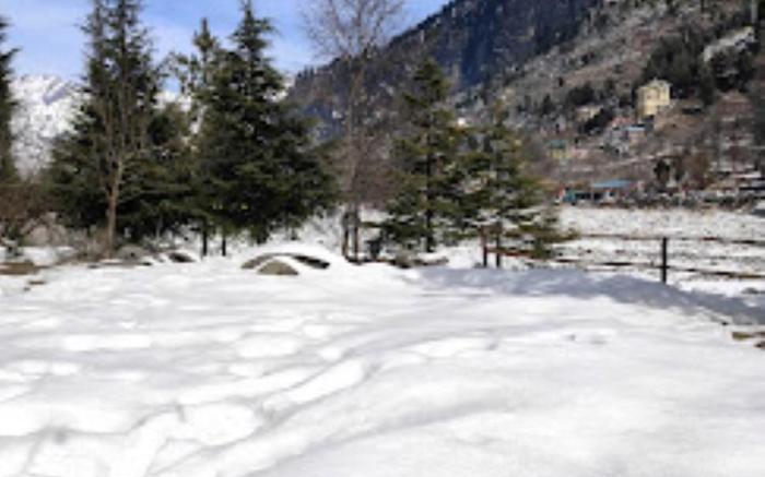 Area51 Glamps Manali