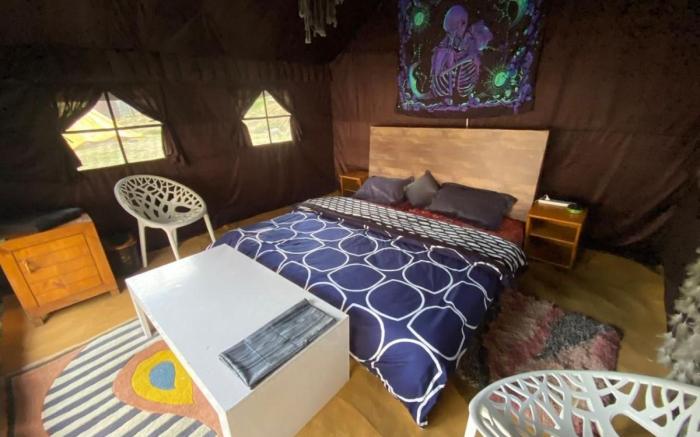 Area51 Glamps Manali