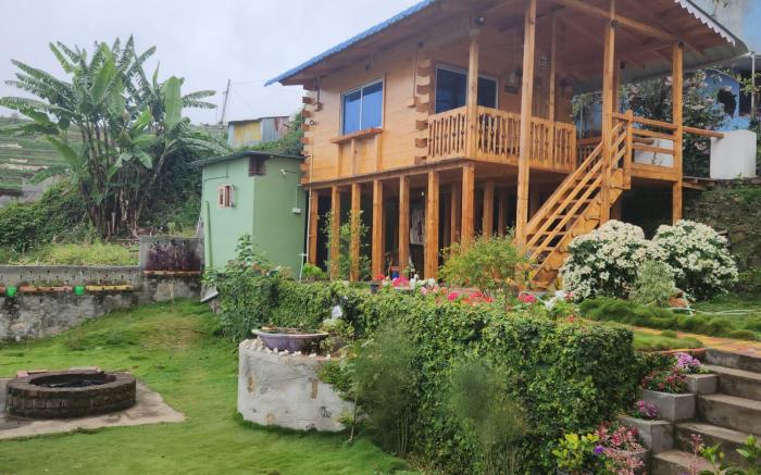 Wood house 