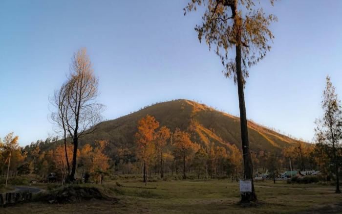 Avrilla Ijen Homestay & Cafe