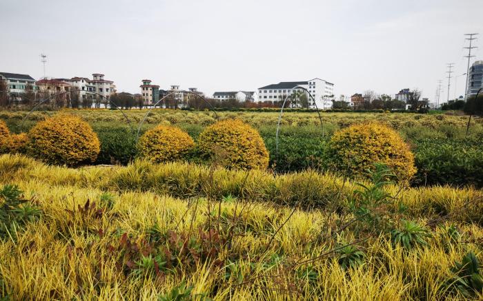 Hanting Hotel Hangzhou Xiaoshan Airport