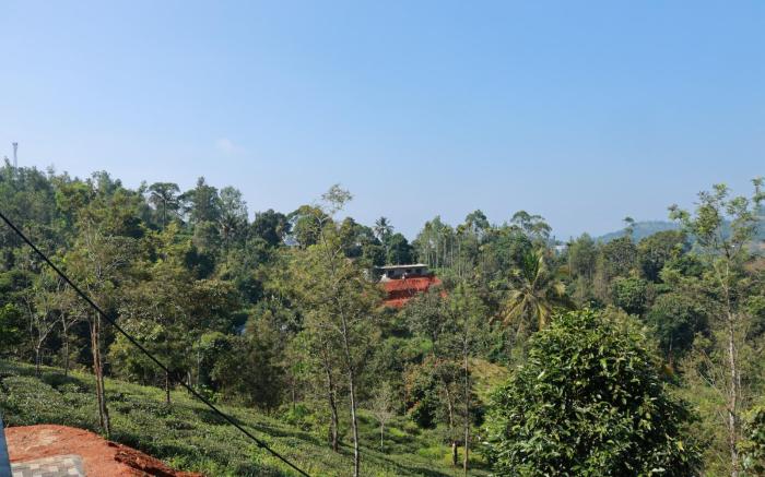 Munnar Ethan's Valley