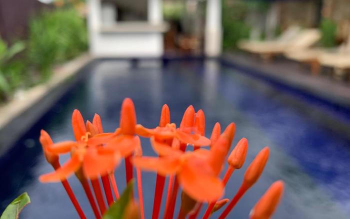 Relax Villas Gili Air