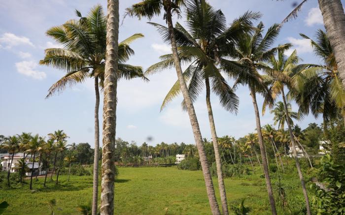 Namasthe Ayurveda and Yoga Retreat