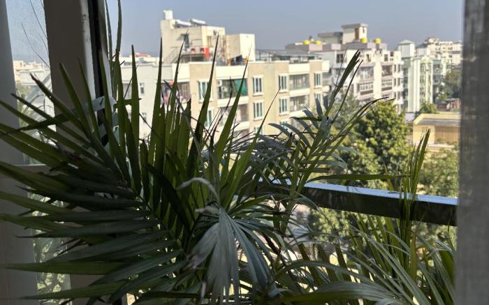 Rawat stays-feel homely