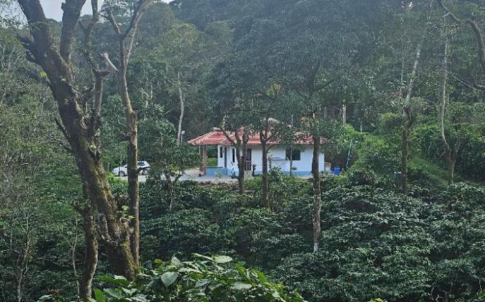 Vintara Homestay