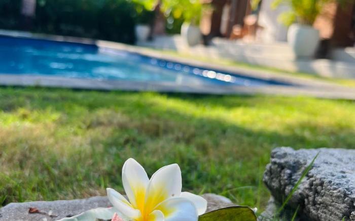 Wiryaroja Guest House