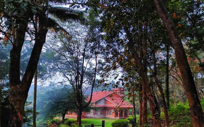 Forest Fusion:LOSE YOURSELF IN NATURE'S LUXURY