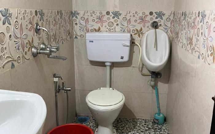 Corel Reef - NestinGoa Homestay