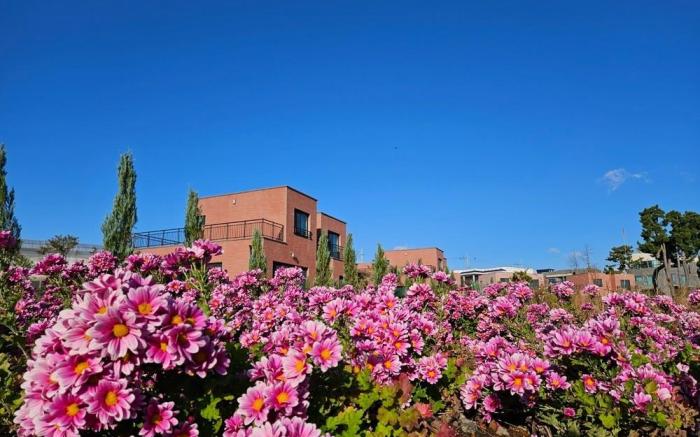 Seogwipo Tre Pension