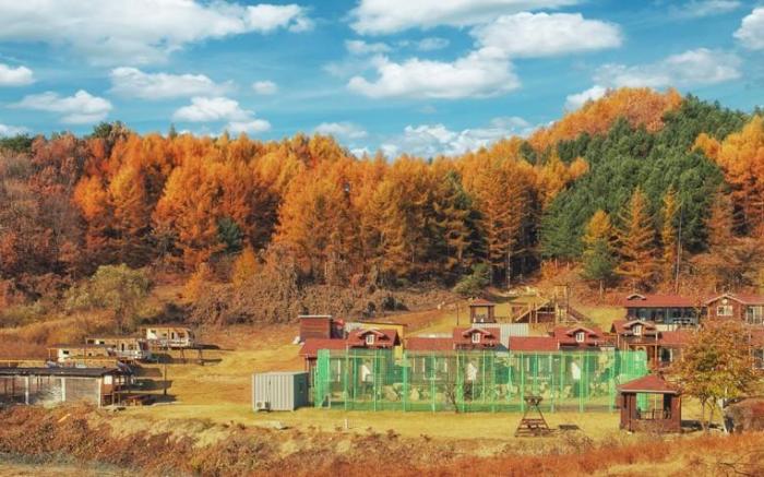 Hoengseong Nature Healing Pool Villa