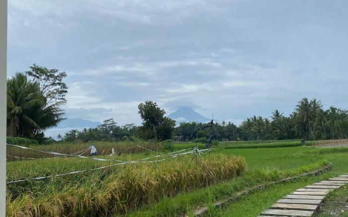 Samala Homestay