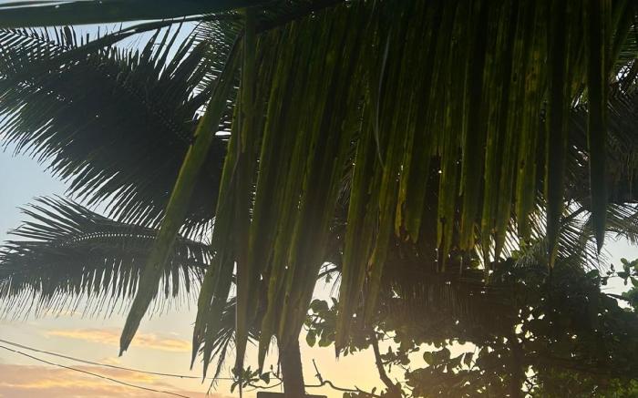 PRAKRUTI GOKARNA