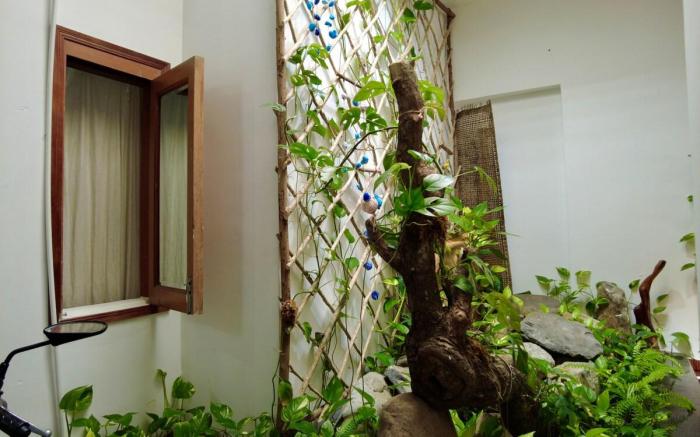 Tuy Hoa-DBL, garden view, near train & airport