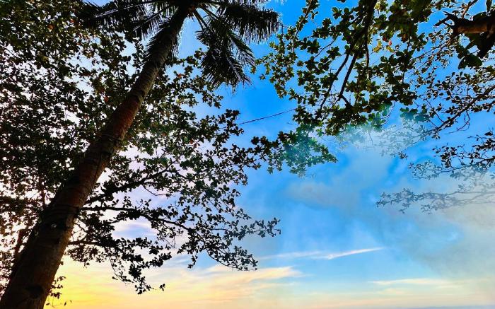 Playa del Fuego Camiguin Beach Hostel & Resort 
