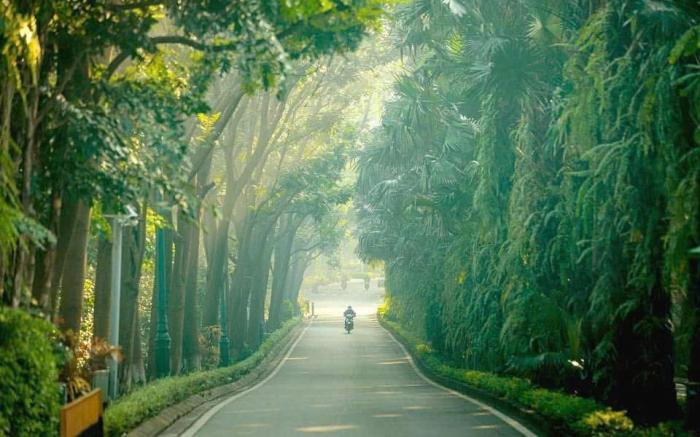 Biệt Thự Nông Trại 5 phòng ngủ 5 VS tại Ecopark 