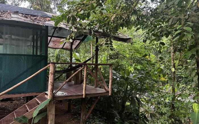 Rio Agujitas Eco Farm hostel and Tours