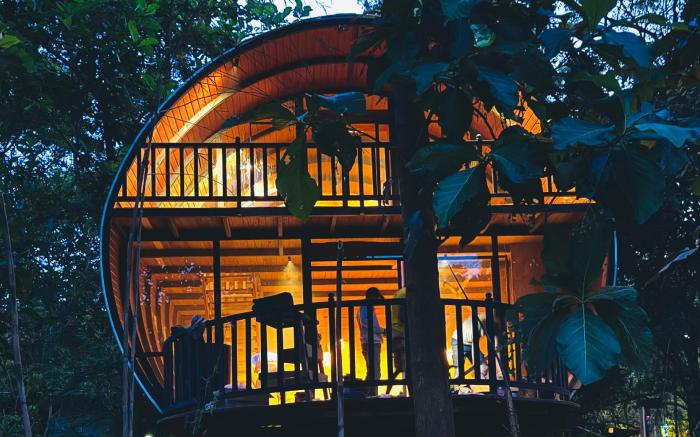 woodland sanctuary