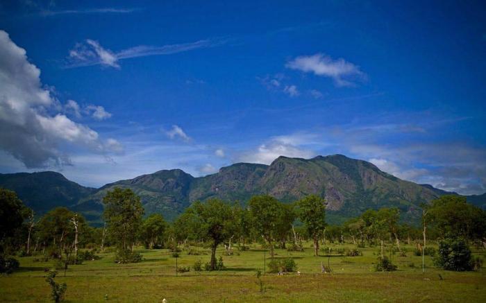 LABDHI RESORTS STAG GROUPS NOT ALLOWED