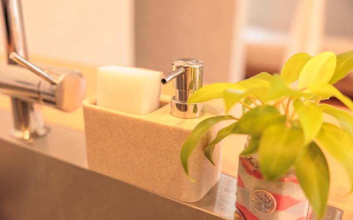 Ryugu Inn, 世界遺産の島・奄美大島で過ごすひと時　海、街、星空を楽しむ「宿龍宮」ステイ