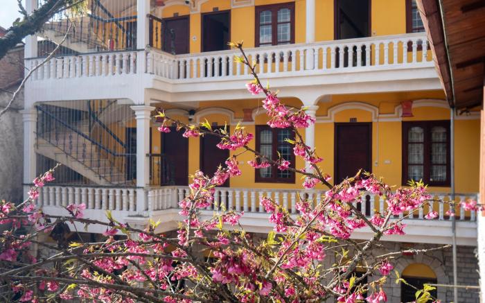 Signature by D Home Sapa