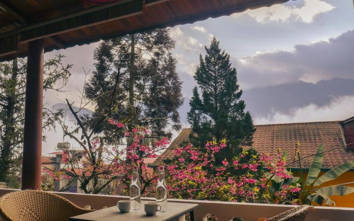 Signature by D Home Sapa