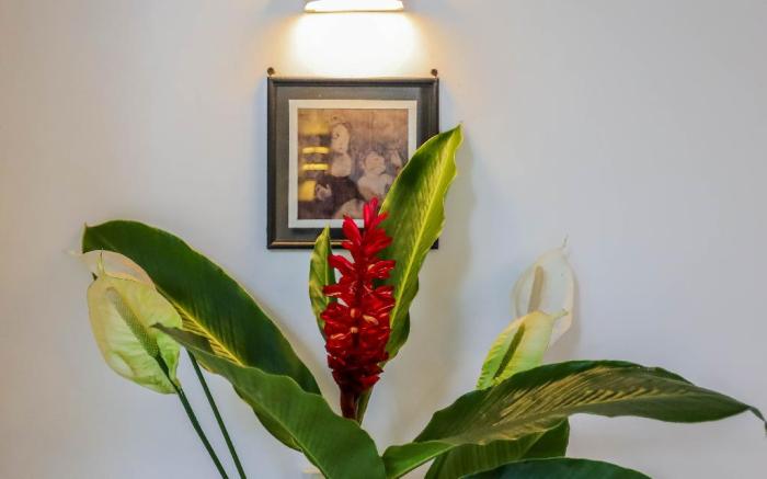 Margossa Residence Kandy