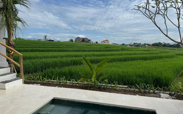 BLUE ORIGIN BALI