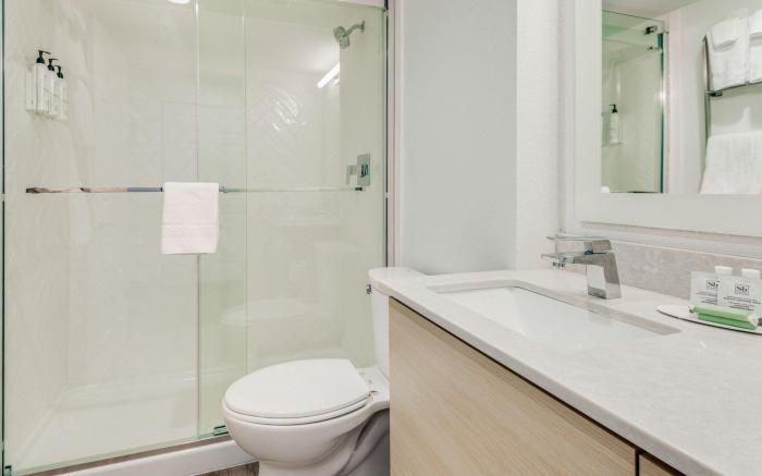 TownePlace Suites by Marriott Dallas Arlington North