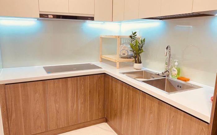 Luxurious Apartment in Thu Duc City, Vinhomes