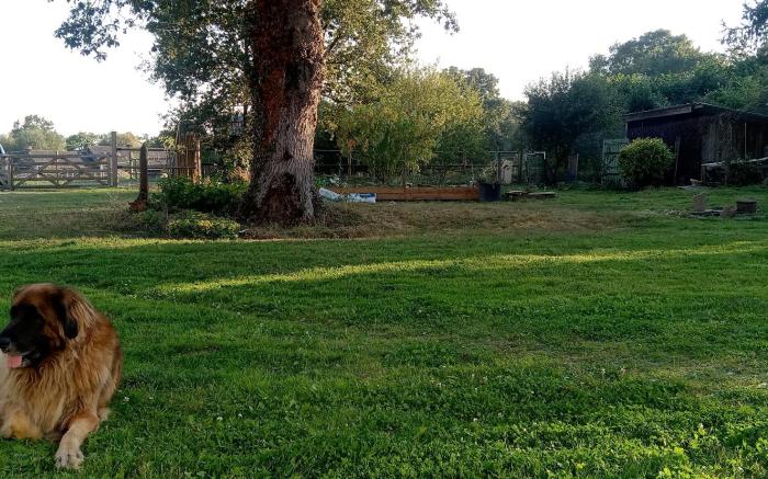 Le Poney Rouge Gîte entre Nantes et Rennes