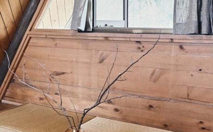 Log in Okinawa -nature-