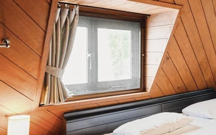 Log in Okinawa -nature-