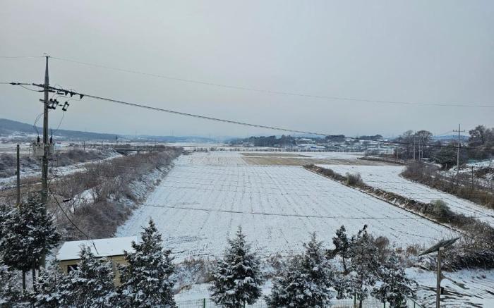 Dangjin Wangmaesil Village