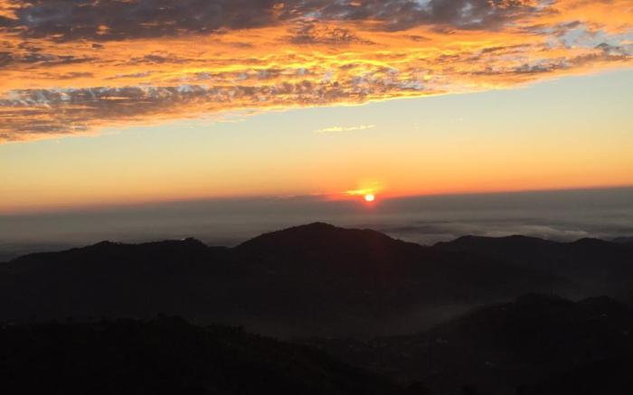 The Kasauli Suffer 