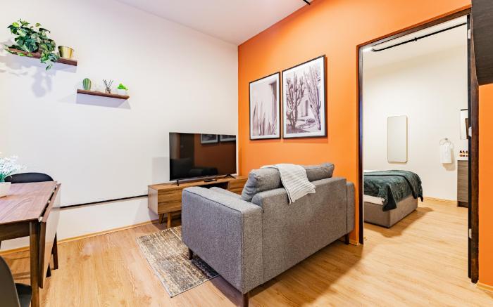 Mariano Escobedo Apartments by VH